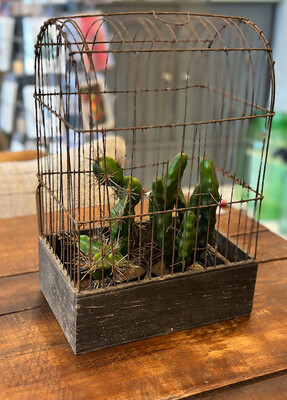 Small Vintage Cage