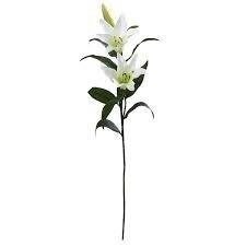 Stems