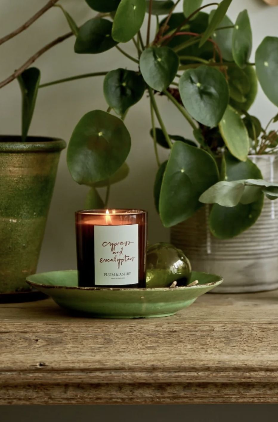 P &amp; A Cypress &amp; Eucalyptus Candle