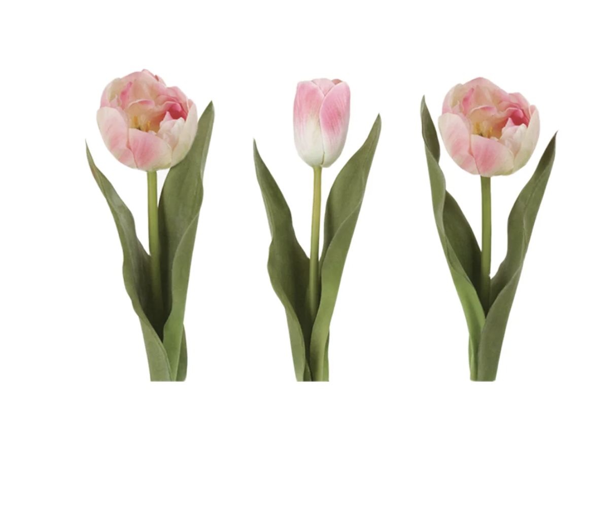 Pink Tulips