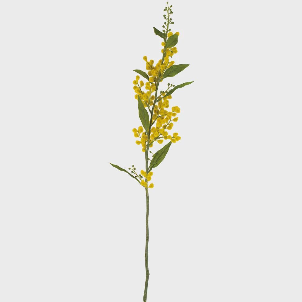 G I Mimosa Spray