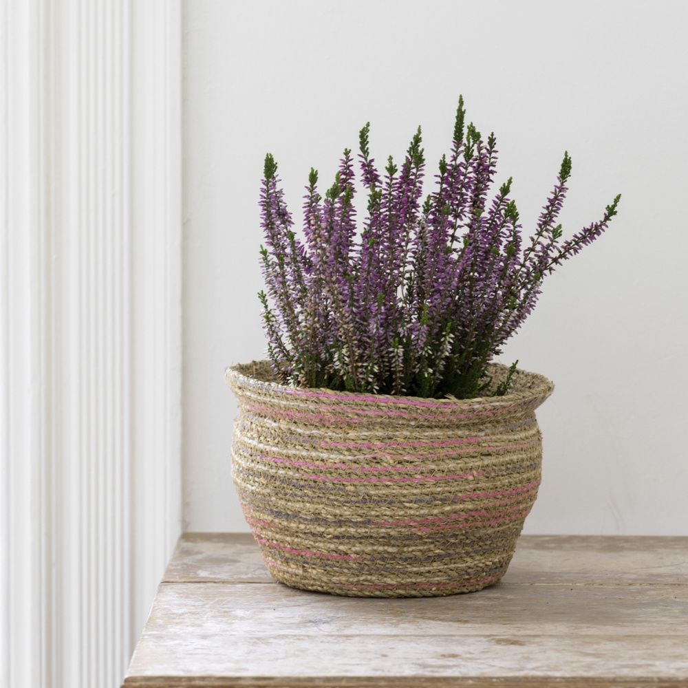 G I Seagrass Planter/Pink