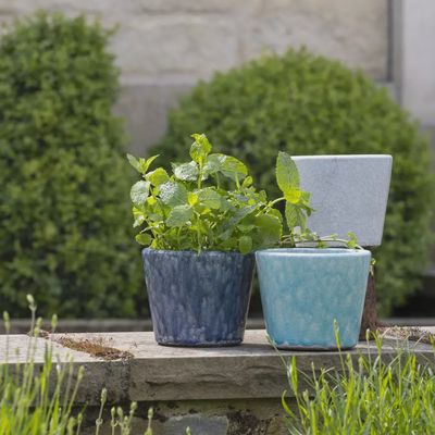 G I Dutch Pot