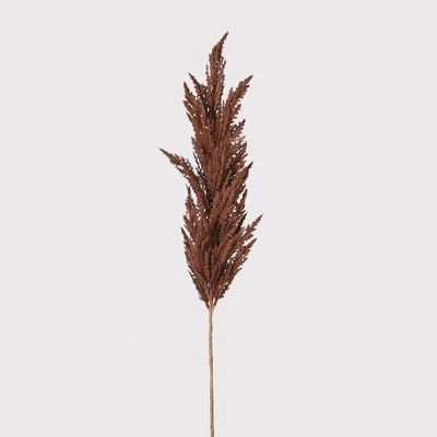 C/H Brown Pampas Grass Spray