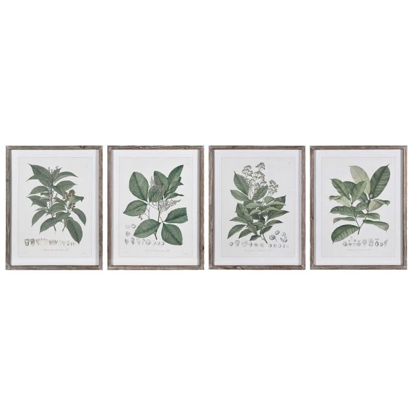 C/H Perennial Herbs Wall Art