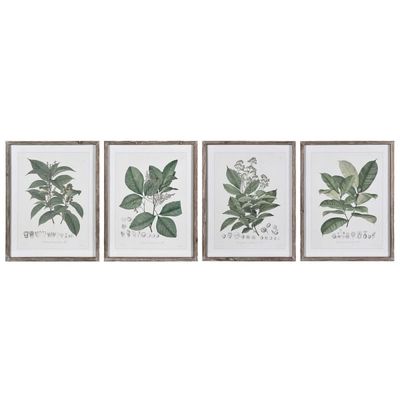 C/H Perennial Herbs Wall Art