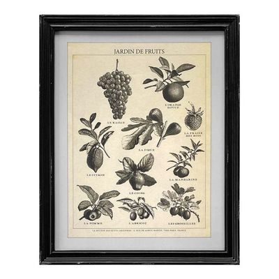 C V Framed Print/ Jardin De Fruits