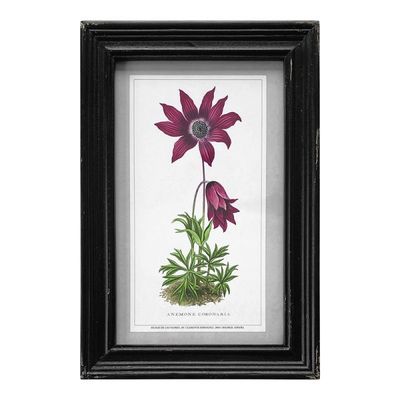 C V Framed Print Wild Flowers 20x30cm