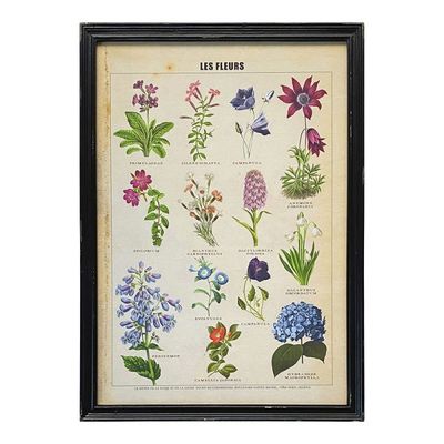 C A Framed Vintage Print/Les Fleurs 50x70cm