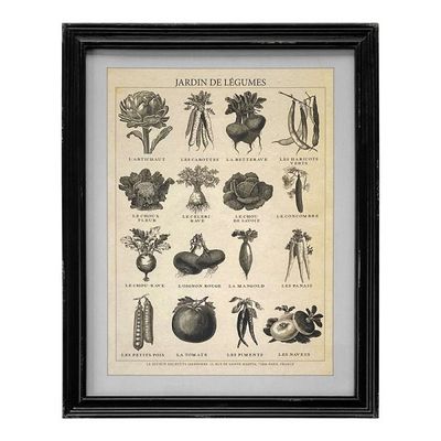 C A Framed Vintage Print Jardin Des Legumes/40x50cm