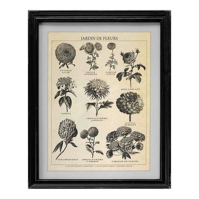 C V Framed Print Jardin Des Fleurs