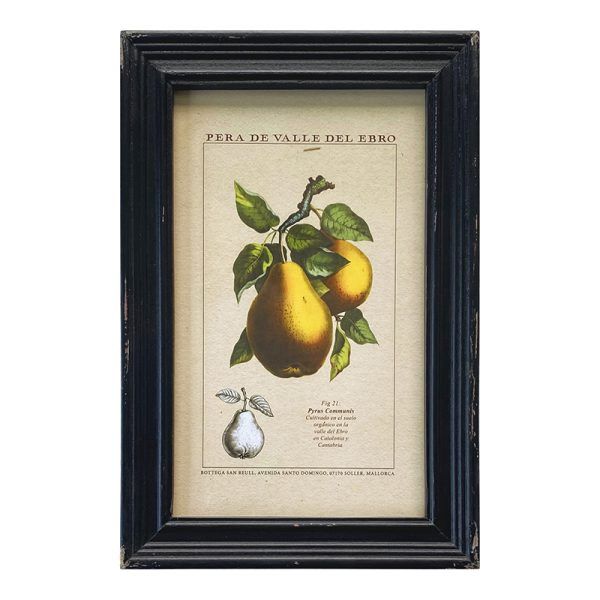 C V Framed Print Fruits 20x30cm