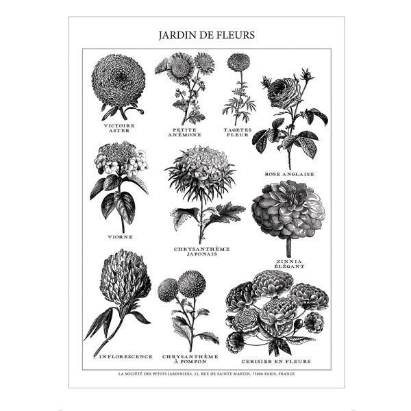 C V Tea Towel/ Jardin Des Fleurs