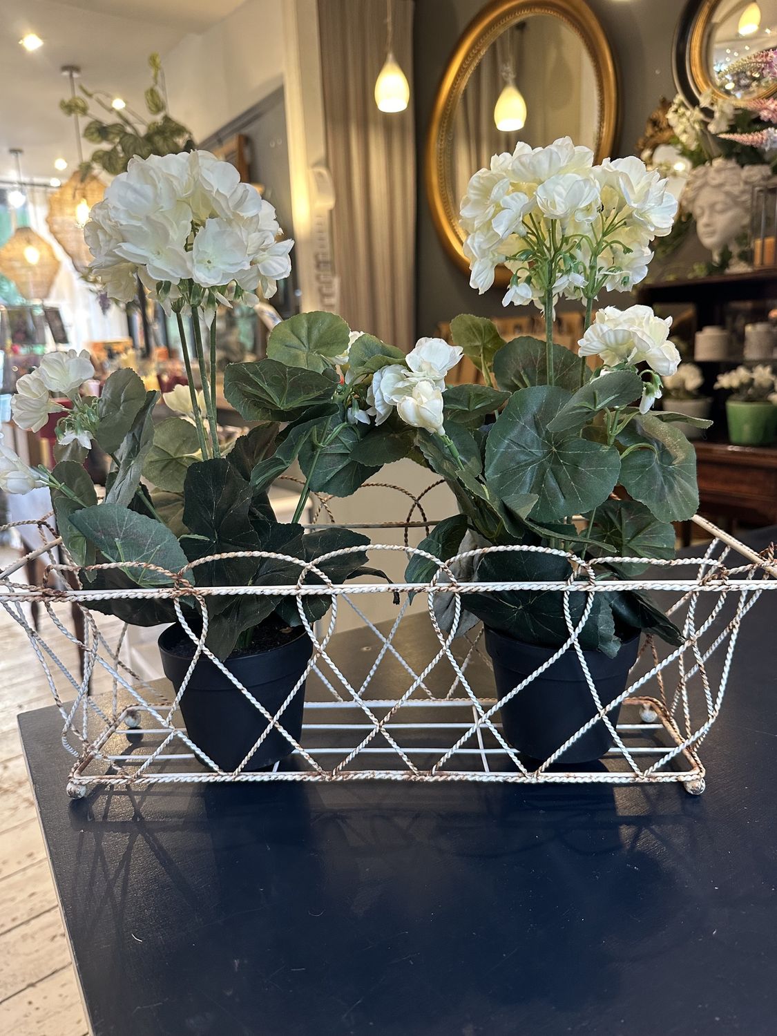 Small wire planter
