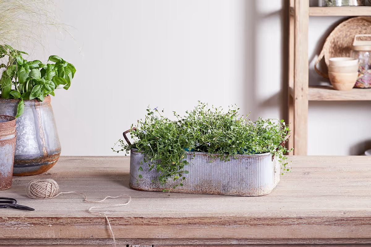 Japos Outdoor Planter Tray
