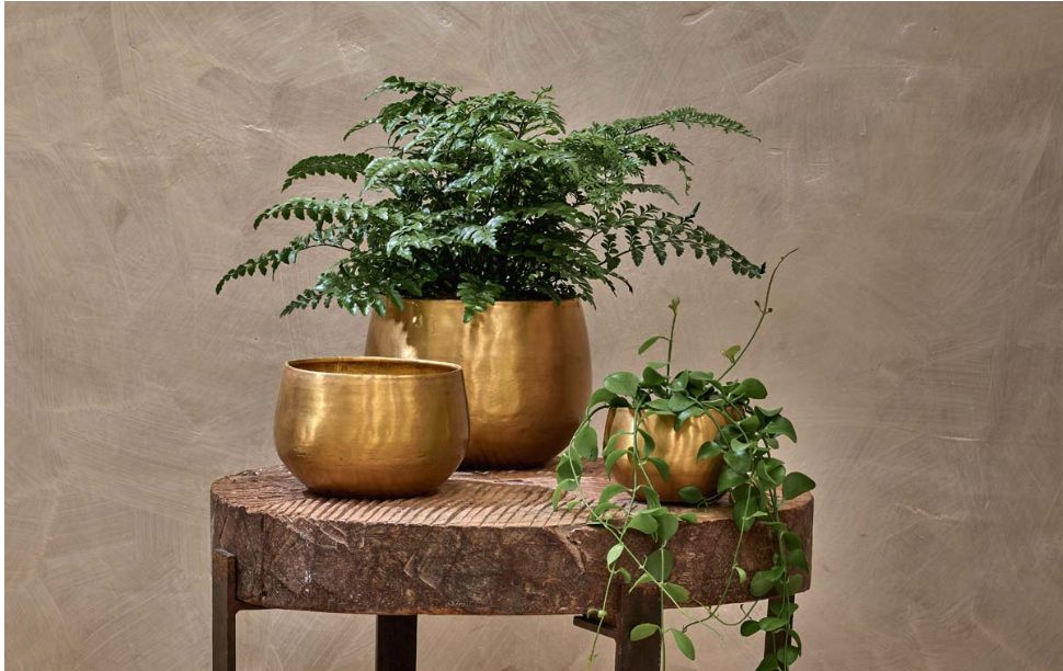 Atsu Brass Planter/Medium