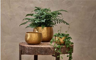 Atsu Brass Planter/Medium