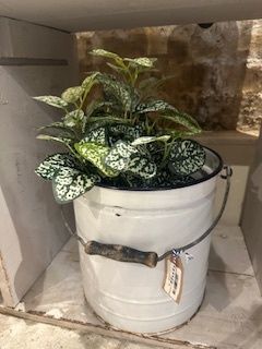 White Enamel Vintage Bucket/with Handle