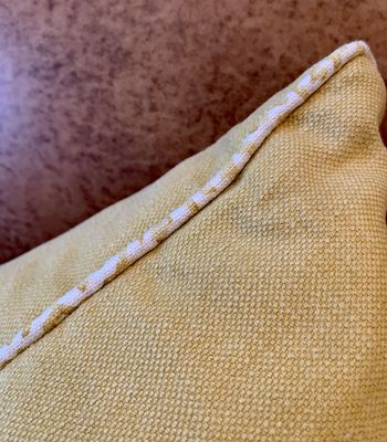 Yellow Cushion