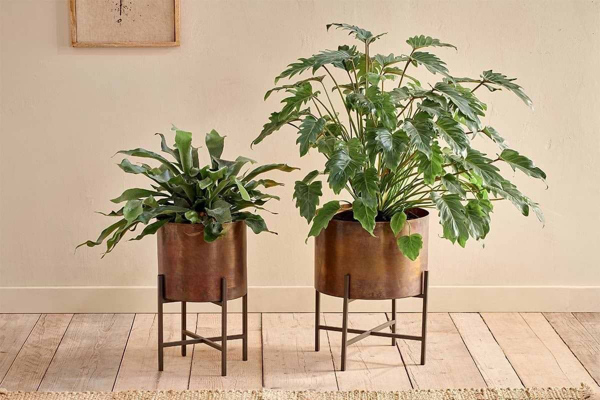 Large Juoni Planter/ Large