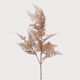 CH/ Auburn Bracken Spray