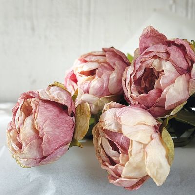 CV/Peony Light Pink 62cm