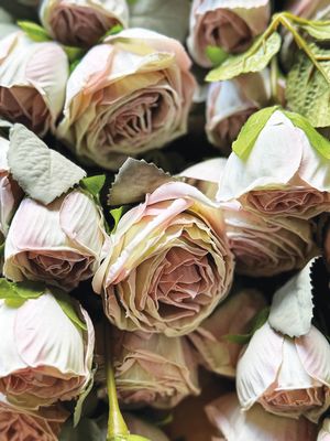 CV/Rose Spray White/Pink 61cm