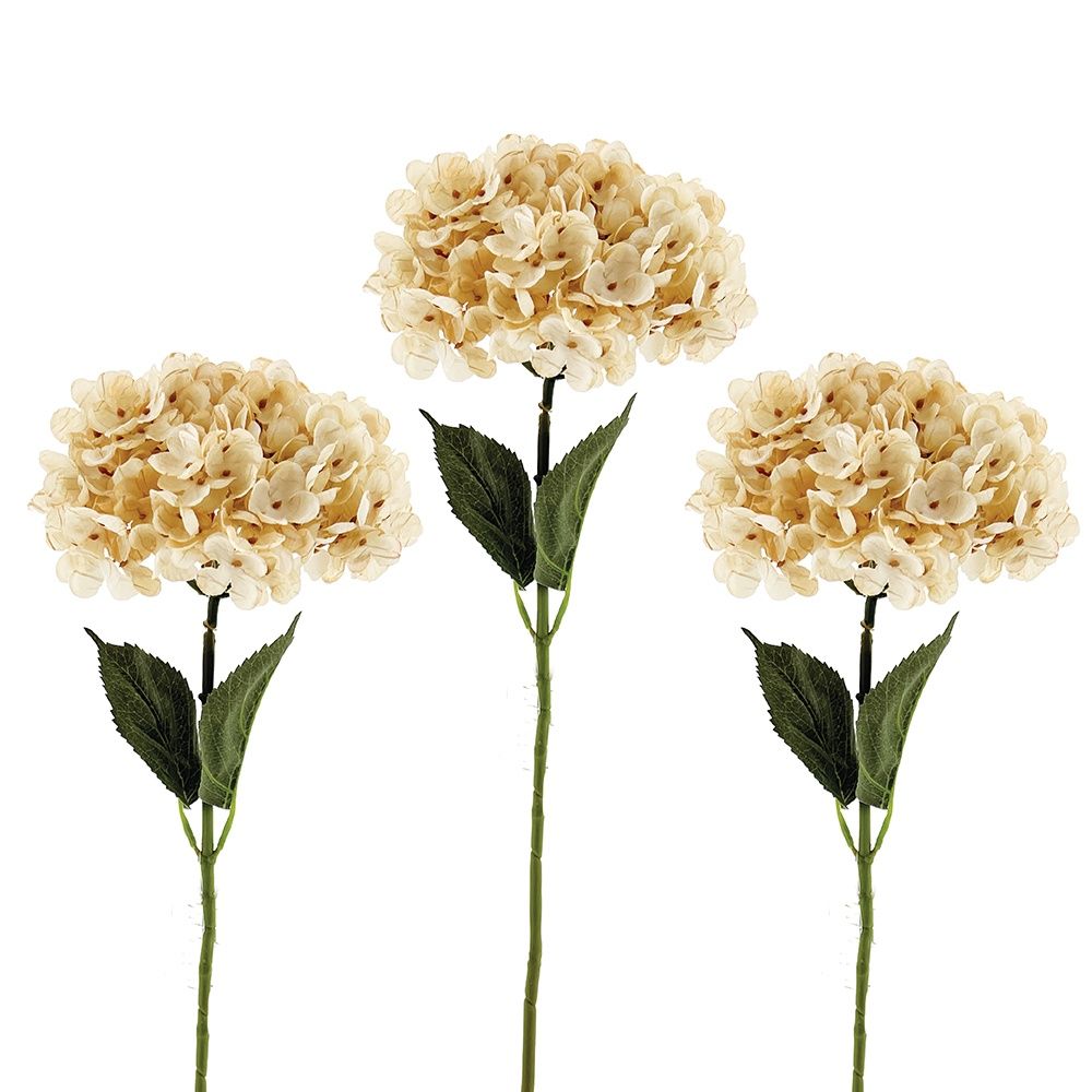 CV Hydrangea Off-White 67cm