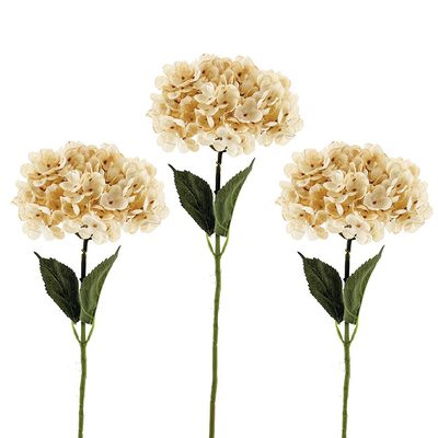 CV Hydrangea Off-White 67cm