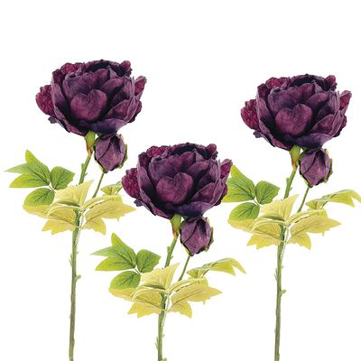 CV Peony Burgundy 62cm