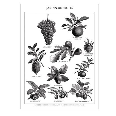 CV/Tea TowelLinen/Cotton Jardin De Fruits