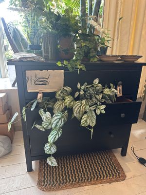 Painted Chest of Drawers