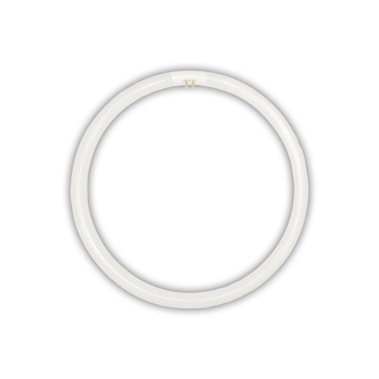 Lusion T5 Circular Fluorescent Globe, Wattage: 22W, Colour Temperature: 4000K