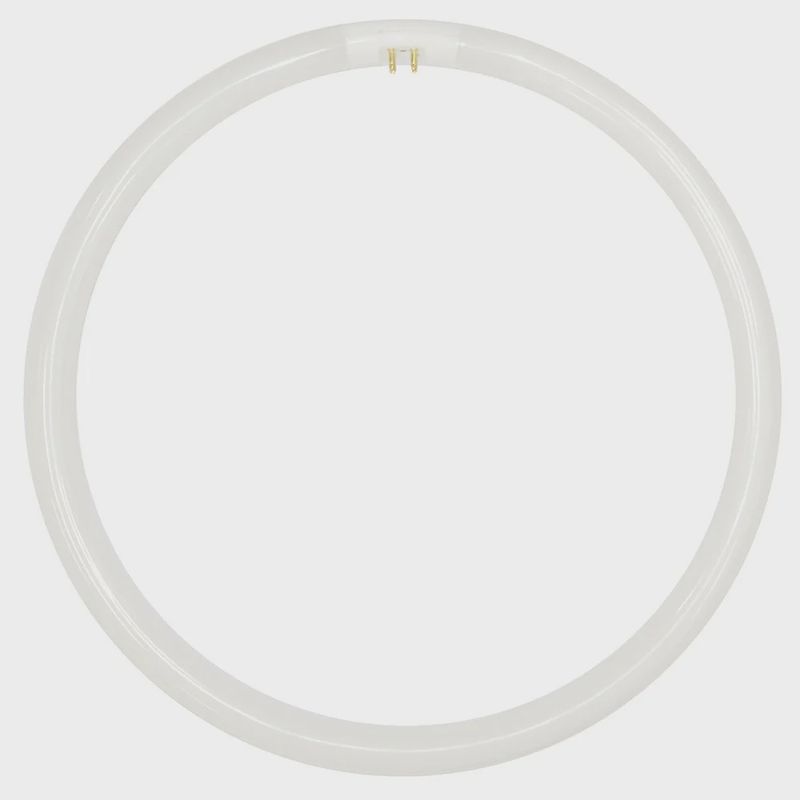 Lusion T5 Circular Fluorescent Globe