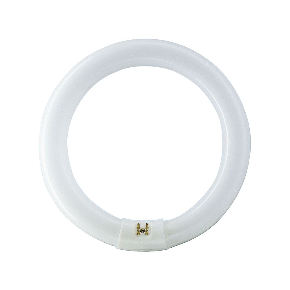 Lusion T9 Circular Fluorescent Globe, Colour Temperature: 4000K, Wattage: 22W