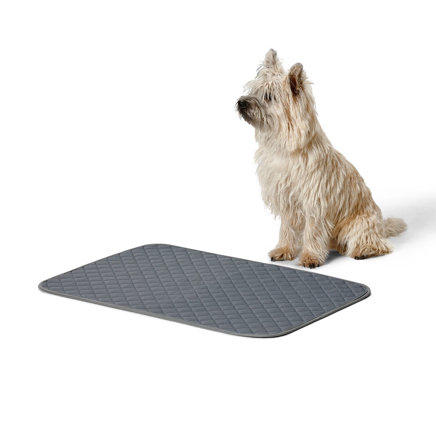 Snooza Washable Pee Pad - 2 Pack - S