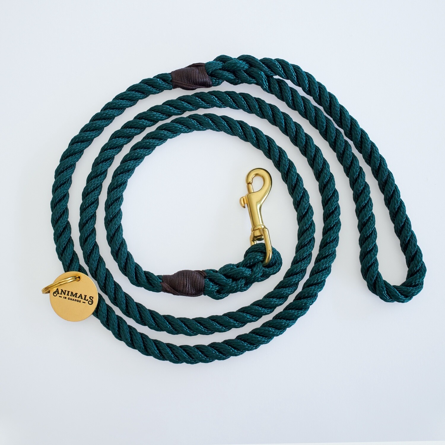 Animals in Charge Forest Green Recycled Rope Dog Leash