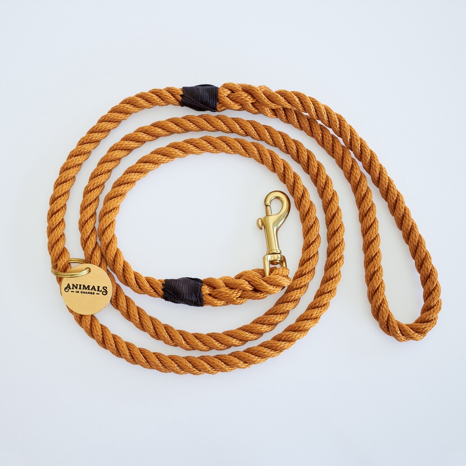 Animals in Charge Harvest Yellow Recycled Rope Dog Leash