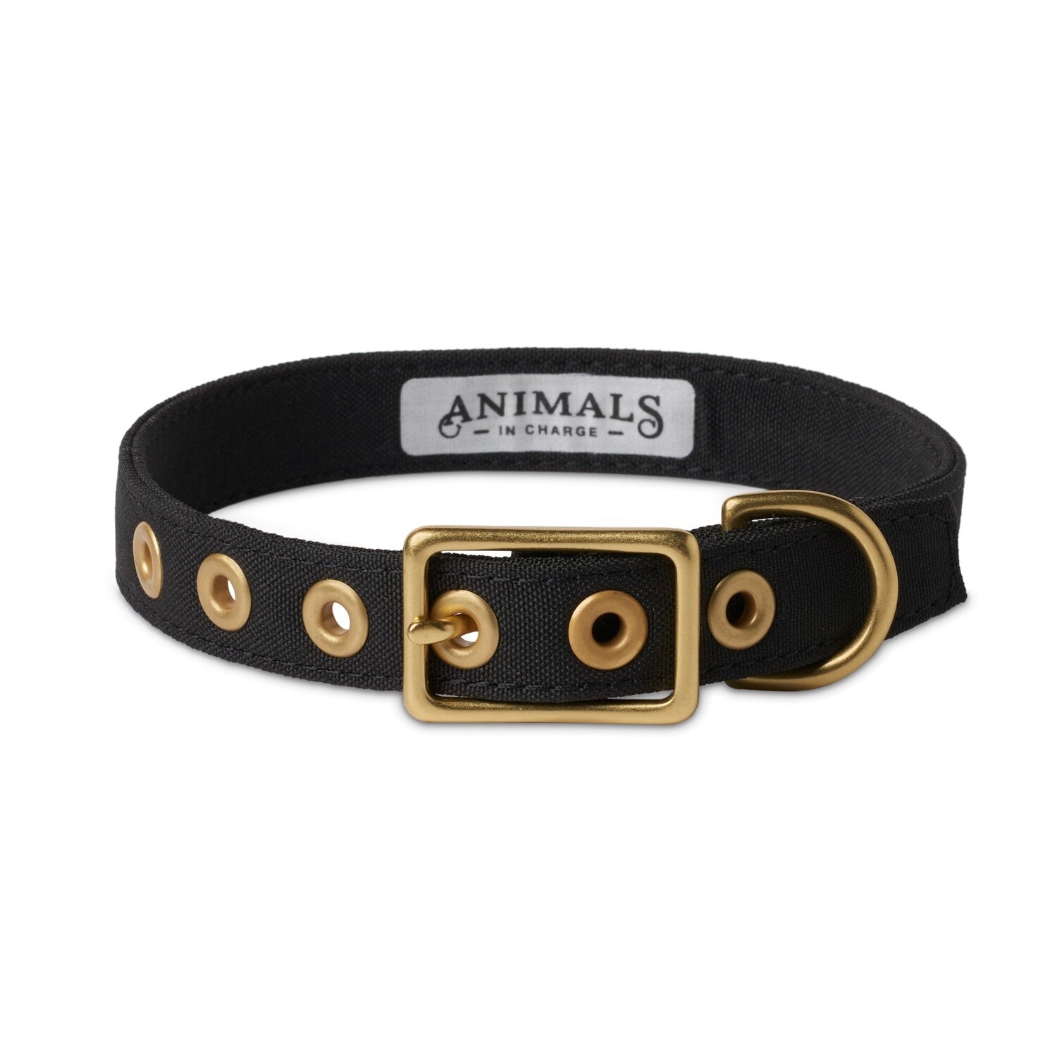 Animals in Charge Black Recycled Canvas Dog Collar - Large