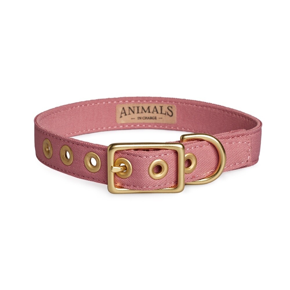 Animals in Charge Dusty Pink Recycled Canvas Dog Collar - Extra Large