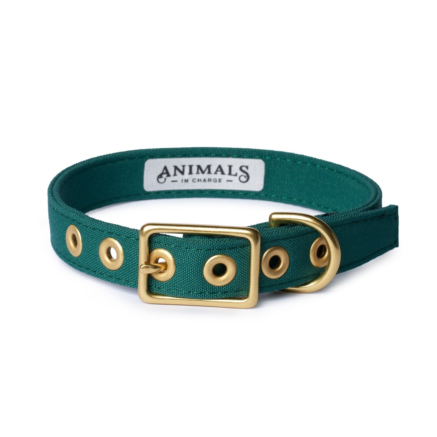 Animals in Charge Forest Green Recycled Canvas Dog Collar - Extra Large