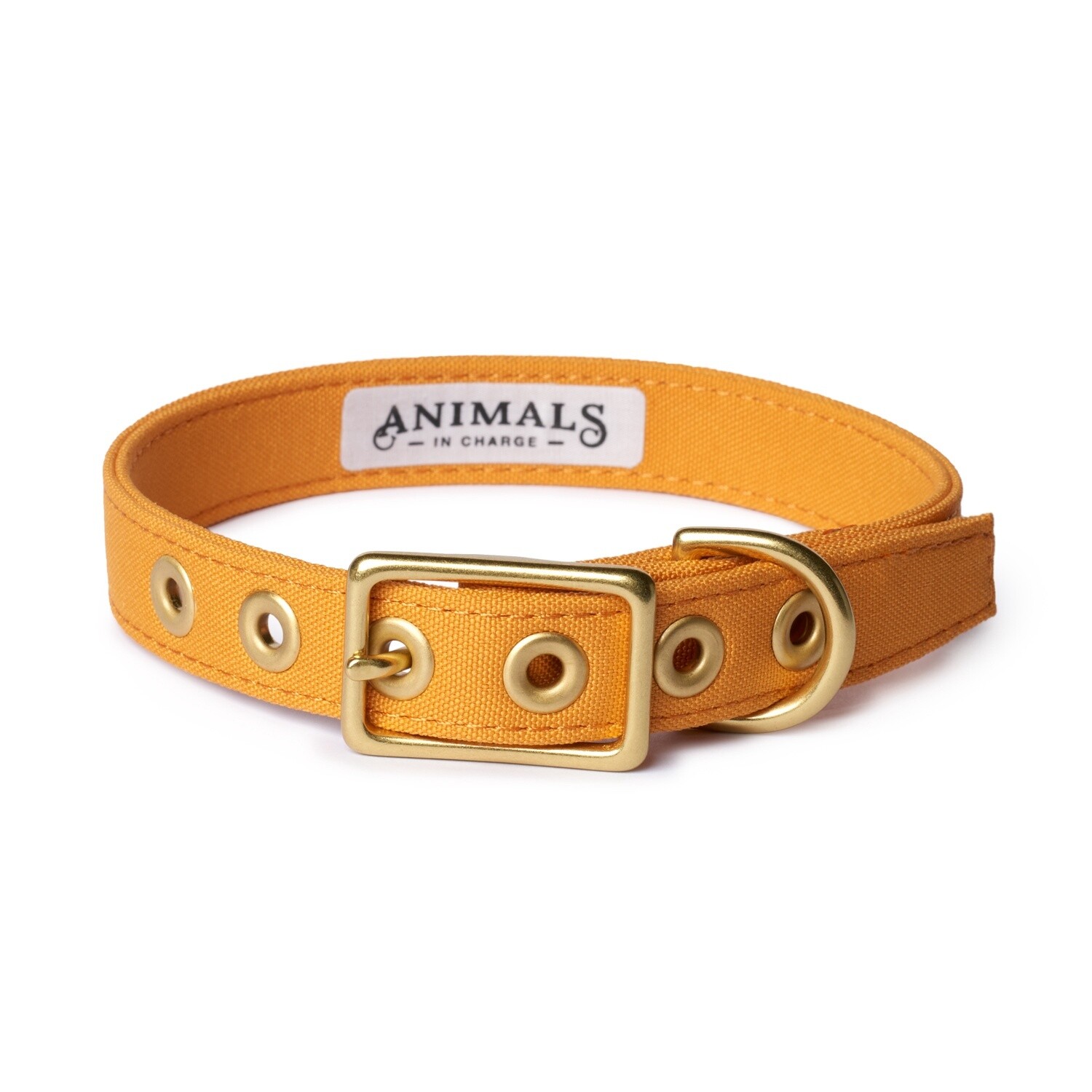 Animals in Charge Harvest Yellow Recycled Canvas Dog Collar - Medium