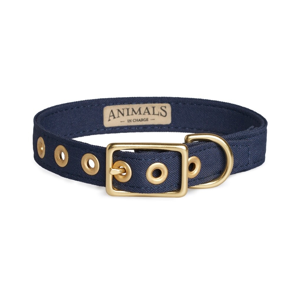 Animals in Charge Navy Recycled Canvas Dog Collar - Medium