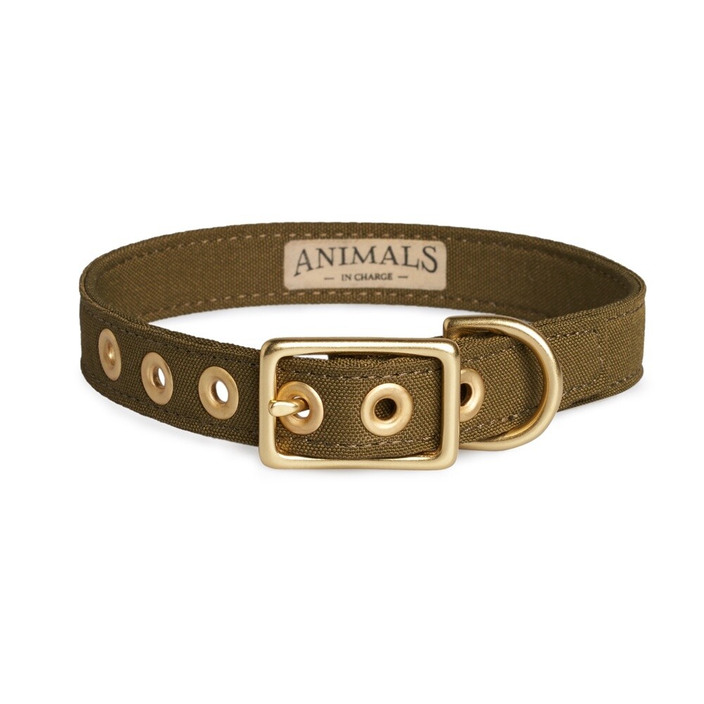 Animals in Charge Olive Recycled Canvas Dog Collar - Medium