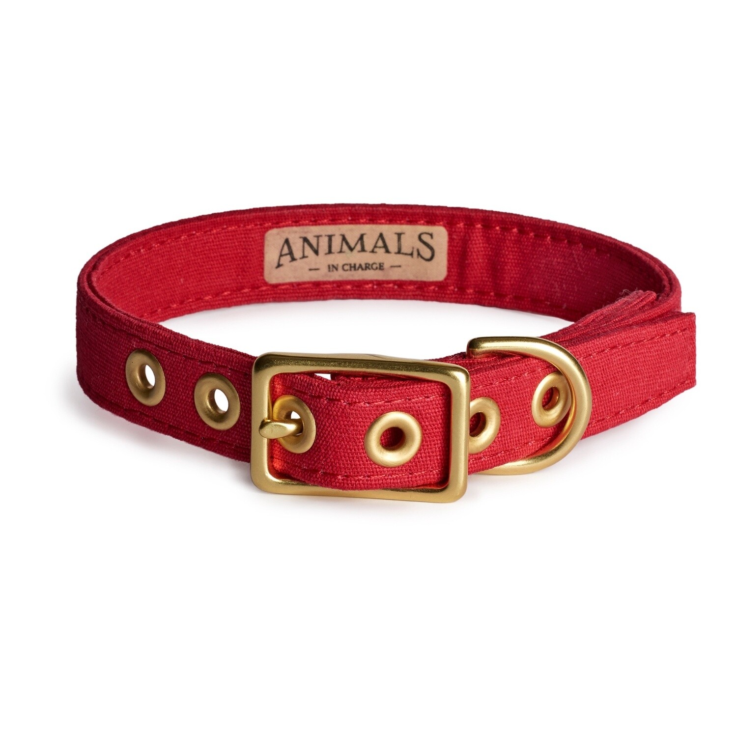 Animals in Charge Red Recycled Canvas Dog Collar - Medium