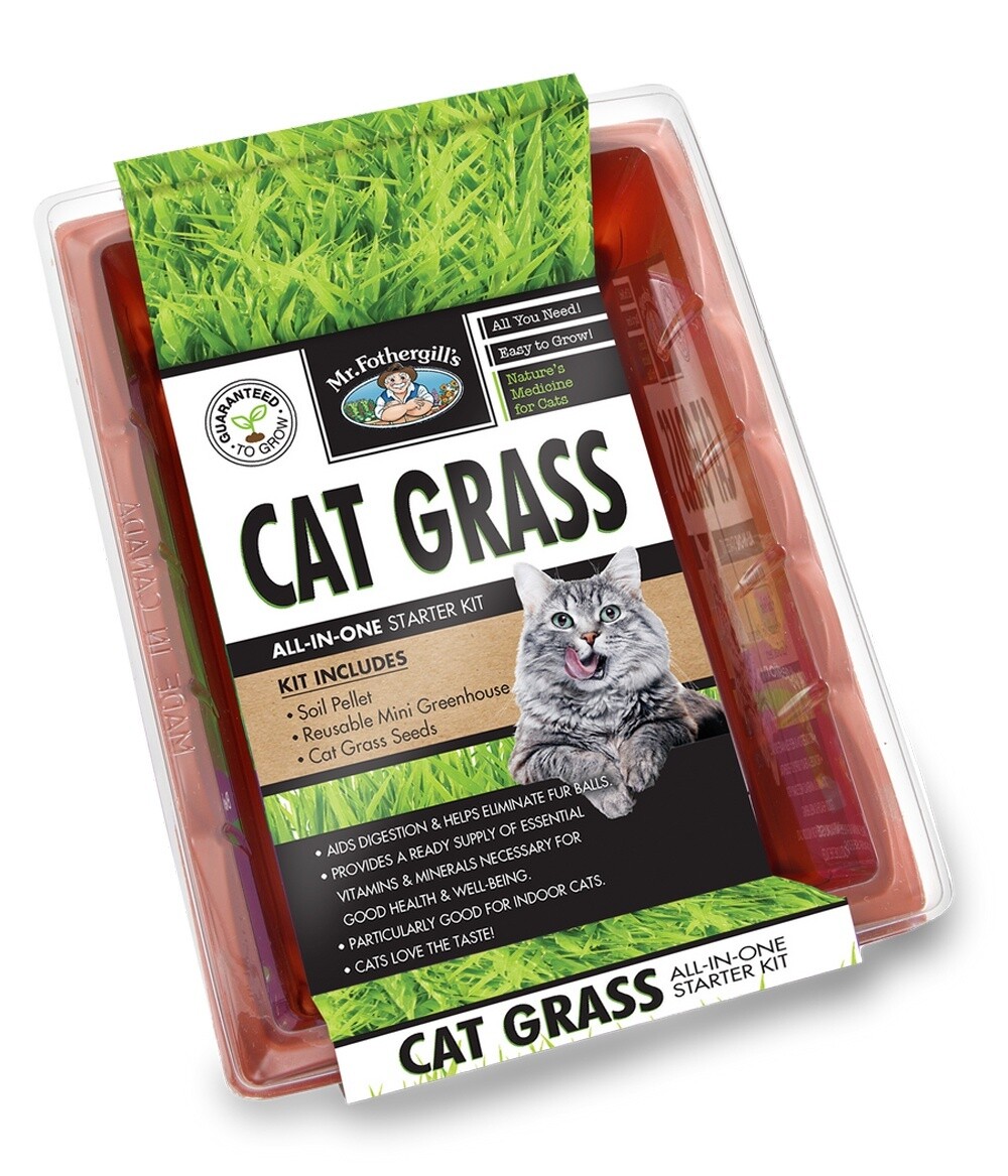 Mr Fothergill&#39;s Cat Grass Sprouting