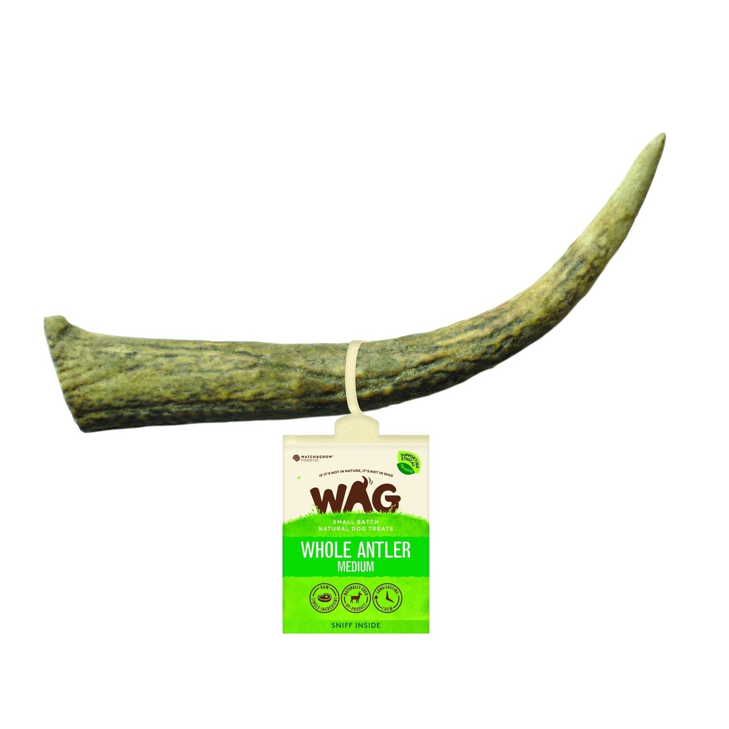WAG Antler Whole Medium