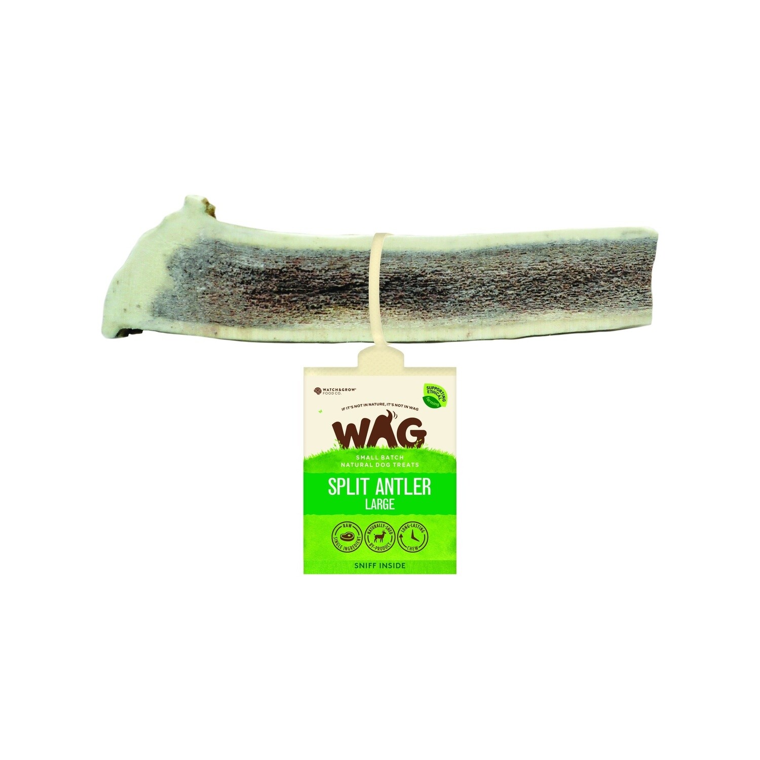 WAG Antler Split Large