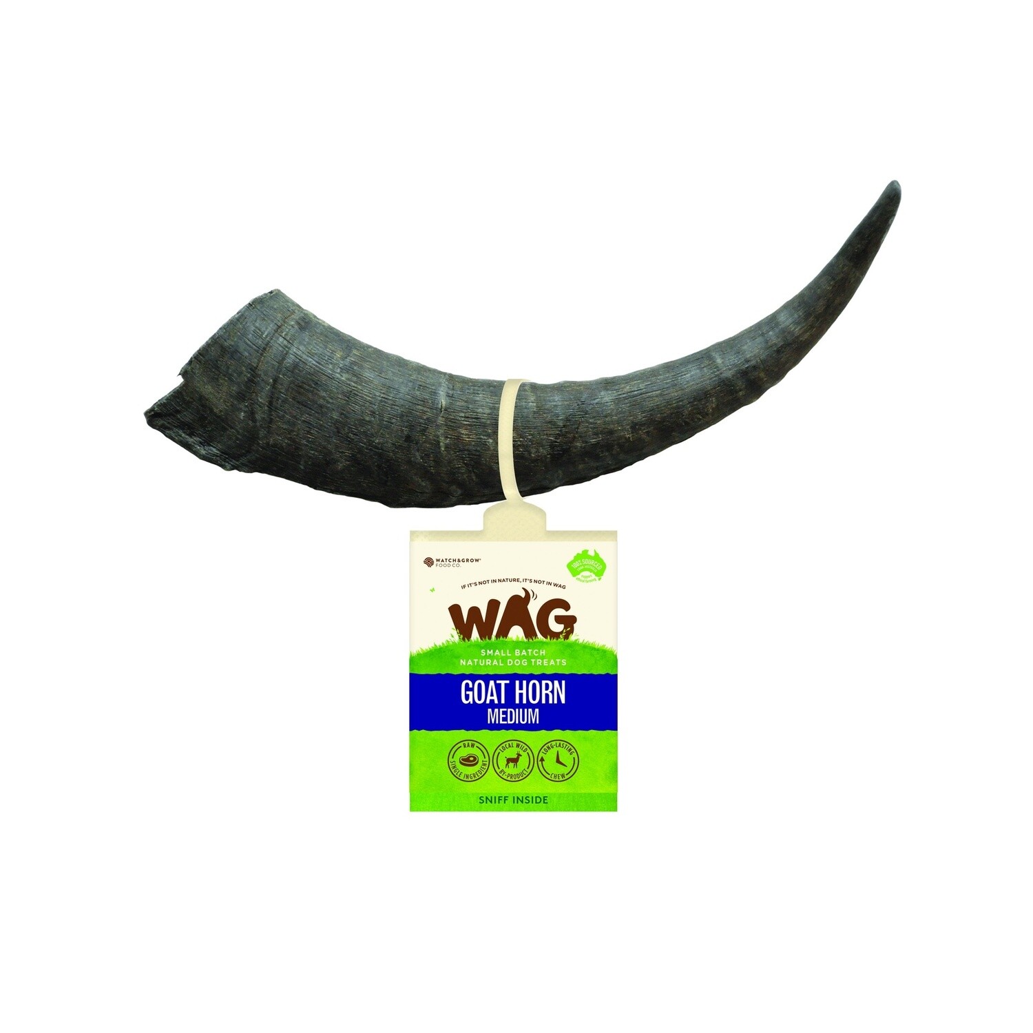 WAG Goats Horn Medium