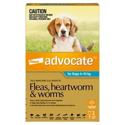 Dog Flea &amp; Worming